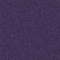 Looking for Interface carpet tiles? Heuga 727 in the color Purple is an excellent choice. View this and other carpet tiles in our webshop.