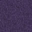Looking for Interface carpet tiles? Heuga 727 in the color Purple is an excellent choice. View this and other carpet tiles in our webshop.