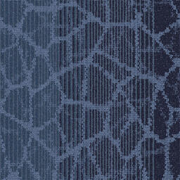 Interface Cellular / Bouclé / 50 cm x 50 cm / Blue