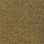 Looking for Interface carpet tiles? Heuga 538 X-loop in the color Gold is an excellent choice. View this and other carpet tiles in our webshop.