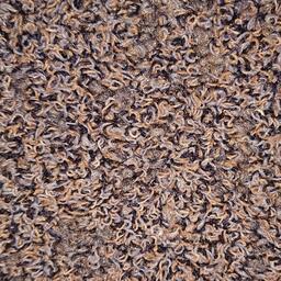 Interface Sherbet Fizz / Bouclé / 50 cm x 50 cm / Purple