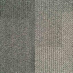 Looking for Interface carpet tiles? Entropy II in the color Protean is an excellent choice. View this and other carpet tiles in our webshop.