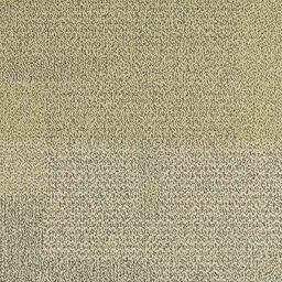 Looking for Interface carpet tiles? Entropy II in the color Wheat is an excellent choice. View this and other carpet tiles in our webshop.