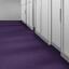 Looking for Interface carpet tiles? Polichrome in the color Purple Beauty is an excellent choice. View this and other carpet tiles in our webshop.