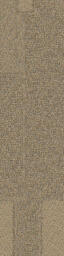 Looking for Interface carpet tiles? Equal Measure 552 in the color Rodeo Ave. is an excellent choice. View this and other carpet tiles in our webshop.
