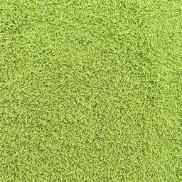 Looking for Private Label carpet tiles? Shaggy XL in the color Lime is an excellent choice. View this and other carpet tiles in our webshop.