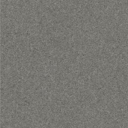Looking for Interface carpet tiles? Heuga 725 Second Choice in the color Silver is an excellent choice. View this and other carpet tiles in our webshop.