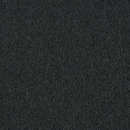 Looking for Interface carpet tiles? Heuga 580 II in the color Black is an excellent choice. View this and other carpet tiles in our webshop.