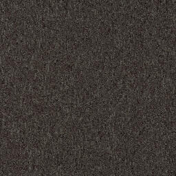 Looking for Interface carpet tiles? Heuga 580 II in the color Cacao is an excellent choice. View this and other carpet tiles in our webshop.