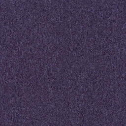 Looking for Interface carpet tiles? Heuga 580 CQuest™ BioX in the color Velvet is an excellent choice. View this and other carpet tiles in our webshop.