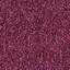 Looking for Interface carpet tiles? Heuga 727 CQuest™ in the color Fuchsia (PD) is an excellent choice. View this and other carpet tiles in our webshop.