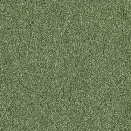 Looking for Interface carpet tiles? Heuga 727 CQuest™ in the color Olive (PD) is an excellent choice. View this and other carpet tiles in our webshop.