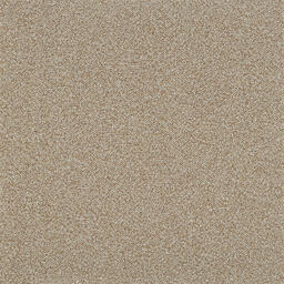 Looking for Interface carpet tiles? Heuga 568 in the color Camel is an excellent choice. View this and other carpet tiles in our webshop.