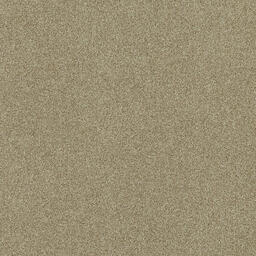 Looking for Interface carpet tiles? Polichrome in the color Linen is an excellent choice. View this and other carpet tiles in our webshop.