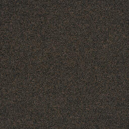 Looking for Interface carpet tiles? Polichrome in the color Java is an excellent choice. View this and other carpet tiles in our webshop.