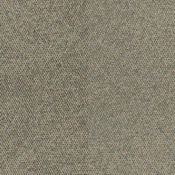 Looking for Interface carpet tiles? Human Connection in the color Paver Granite ReCushion is an excellent choice. View this and other carpet tiles in our webshop.