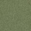Looking for Interface carpet tiles? Heuga 727 PD in the color Olive is an excellent choice. View this and other carpet tiles in our webshop.