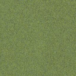 Interface Heuga 727 / Bouclé / 50 cm x 50 cm / Green
