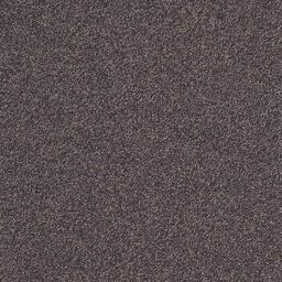 Looking for Interface carpet tiles? Biosfera Boucle in the color Ambra is an excellent choice. View this and other carpet tiles in our webshop.