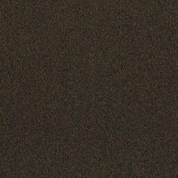 Looking for Interface carpet tiles? Paradox II in the color Chocolate is an excellent choice. View this and other carpet tiles in our webshop.