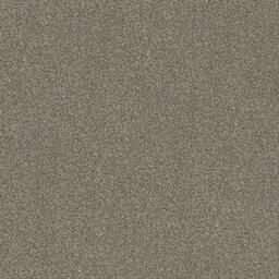 Looking for Interface carpet tiles? Polichrome in the color Hemp is an excellent choice. View this and other carpet tiles in our webshop.