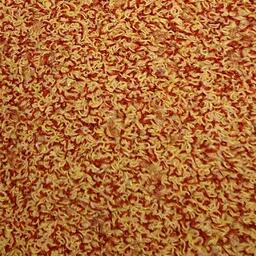 Looking for Interface carpet tiles? Sherbet Fizz in the color Orangeade is an excellent choice. View this and other carpet tiles in our webshop.