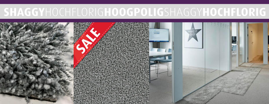 Shaggy Silver Sale